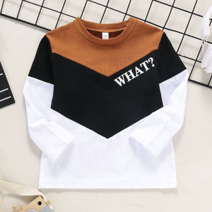 Boys WHAT? Color Block Long Sleeve Tee and Pants Set